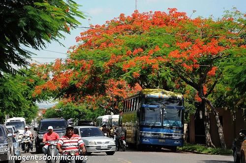 Aqui Mi Republica Dominicana: www.aqui.mi-rd.com